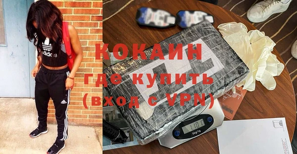 стаф Балахна