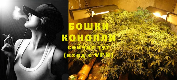 бутират Арсеньев