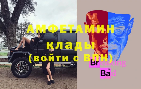 ГАЛЛЮЦИНОГЕННЫЕ ГРИБЫ Аркадак