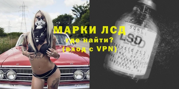 ГАЛЛЮЦИНОГЕННЫЕ ГРИБЫ Аркадак
