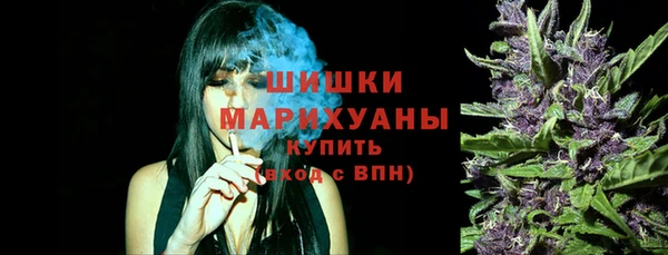 ГАЛЛЮЦИНОГЕННЫЕ ГРИБЫ Аркадак