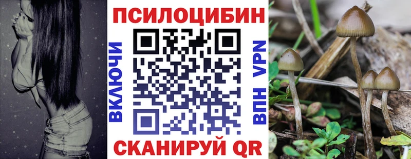 Галлюциногенные грибы ЛСД  Кашин 
